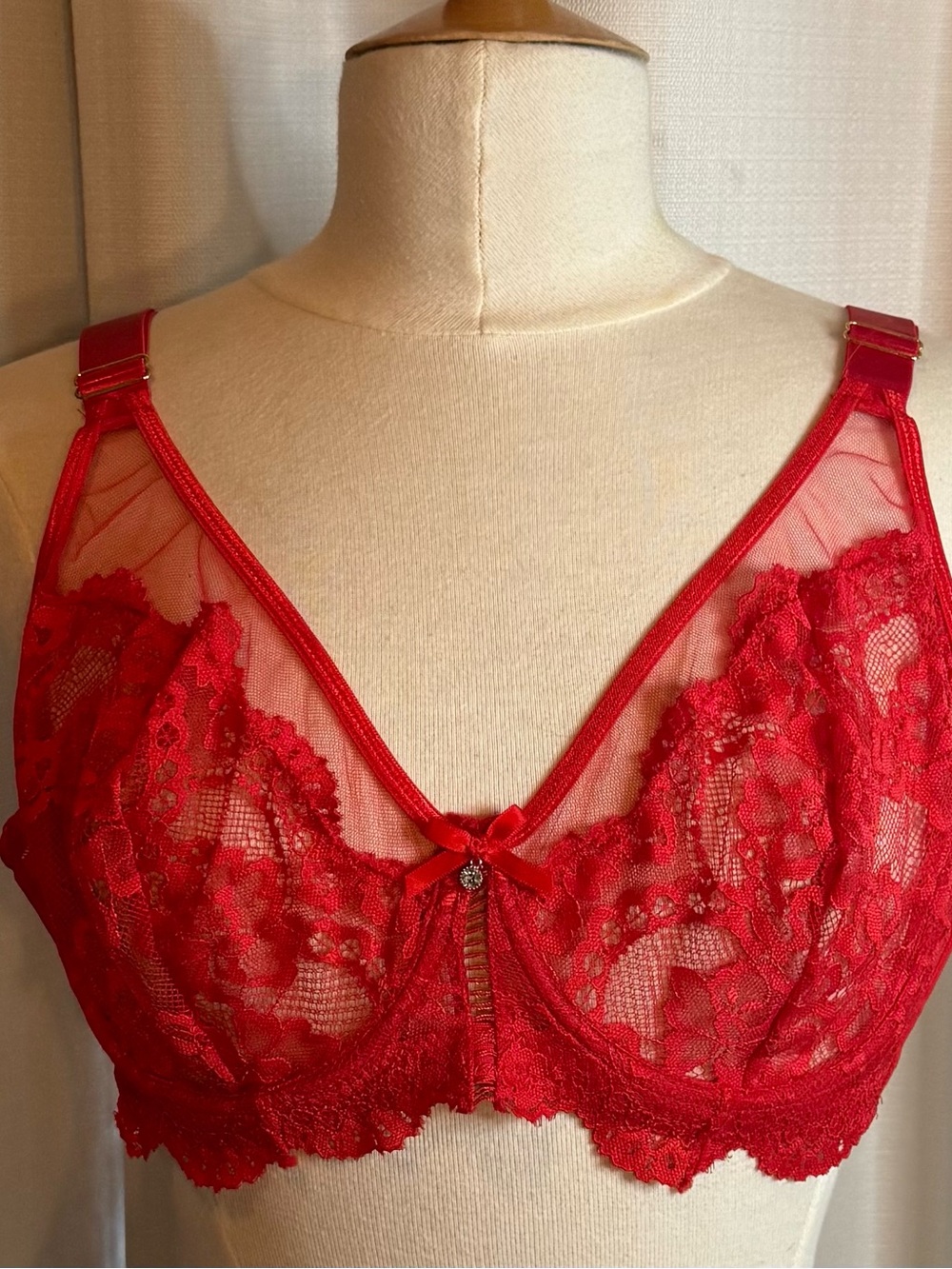 Lace Red Underwire Bra with Sheer Floral Panels